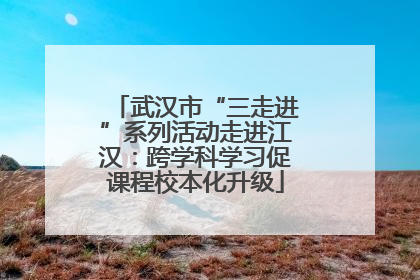 武汉市“三走进”系列活动走进江汉：跨学科学习促课程校本化升级