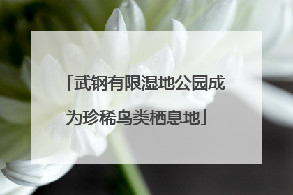 武钢有限湿地公园成为珍稀鸟类栖息地