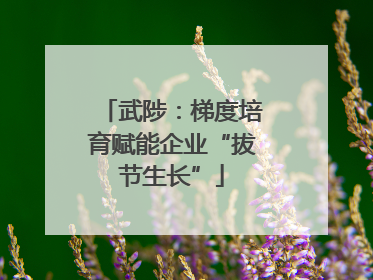 武陟：梯度培育赋能企业“拔节生长”
