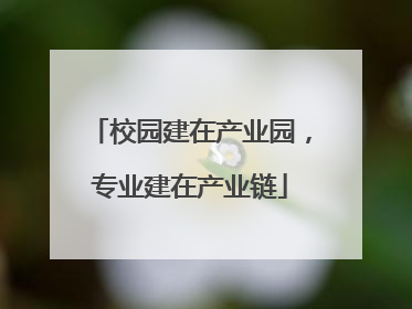 校园建在产业园，专业建在产业链