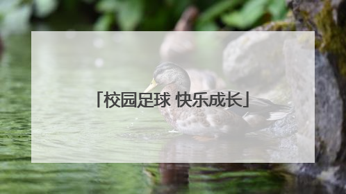 校园足球 快乐成长