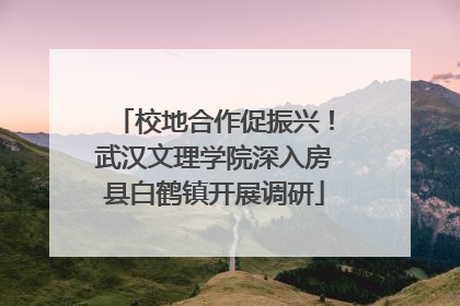 校地合作促振兴！武汉文理学院深入房县白鹤镇开展调研