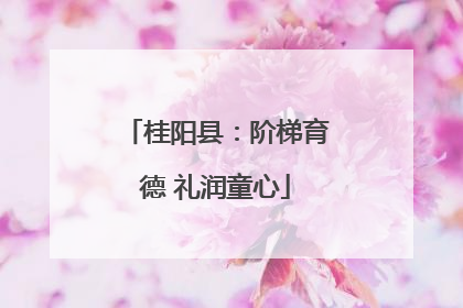 桂阳县：阶梯育德 礼润童心