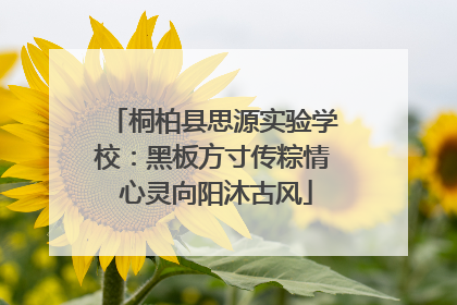 桐柏县思源实验学校：黑板方寸传粽情 心灵向阳沐古风