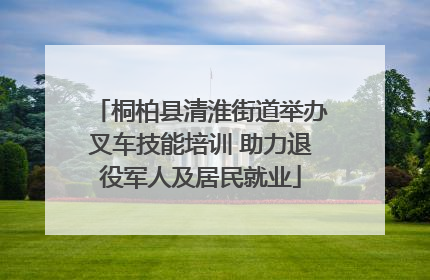 桐柏县清淮街道举办叉车技能培训 助力退役军人及居民就业