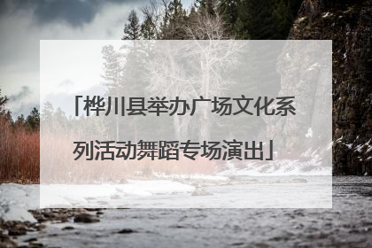 桦川县举办广场文化系列活动舞蹈专场演出