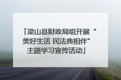 梁山县财政局组开展“美好生活 民法典相伴”主题学习宣传活动