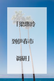 梁惠玲到伊春市调研