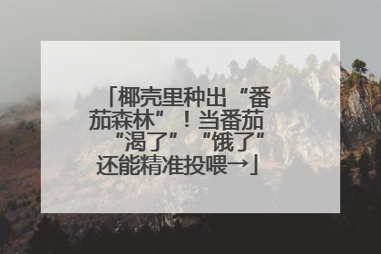 椰壳里种出“番茄森林”！当番茄“渴了”“饿了”还能精准投喂→