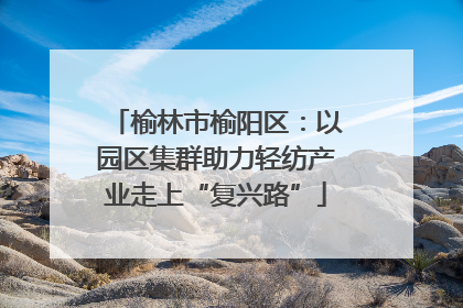 榆林市榆阳区：以园区集群助力轻纺产业走上“复兴路”