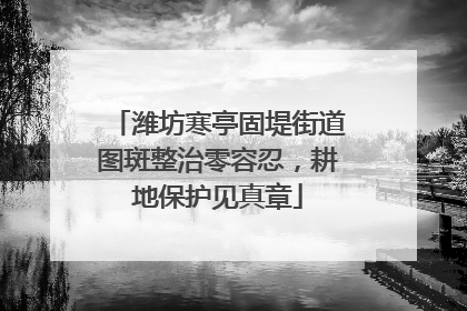 潍坊寒亭固堤街道图斑整治零容忍，耕地保护见真章