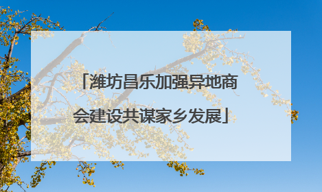潍坊昌乐加强异地商会建设共谋家乡发展