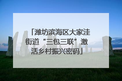 潍坊滨海区大家洼街道“三包三联”激活乡村振兴密码