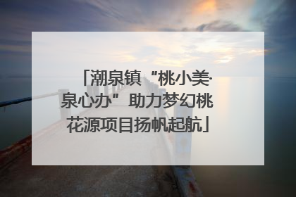 潮泉镇“桃小美·泉心办”助力梦幻桃花源项目扬帆起航