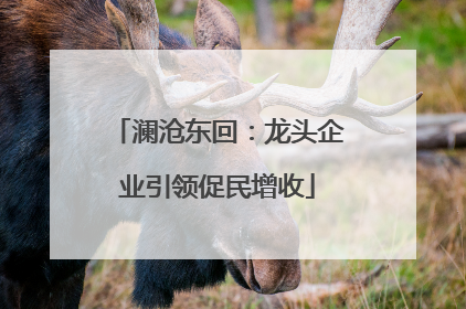 澜沧东回：龙头企业引领促民增收