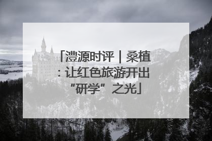 澧源时评｜桑植：让红色旅游开出“研学”之光