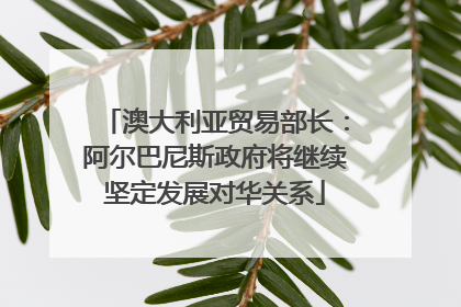 澳大利亚贸易部长：阿尔巴尼斯政府将继续坚定发展对华关系