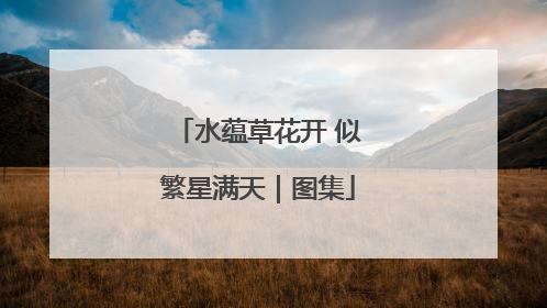 水蕴草花开 似繁星满天｜图集