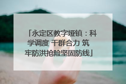 永定区教字垭镇：科学调度 干群合力 筑牢防洪抢险坚固防线