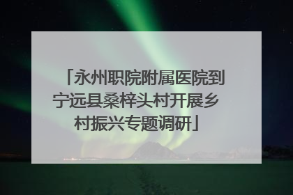 永州职院附属医院到宁远县桑梓头村开展乡村振兴专题调研