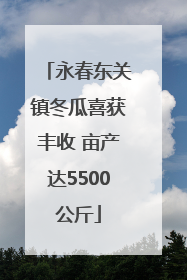 永春东关镇冬瓜喜获丰收 亩产达5500公斤
