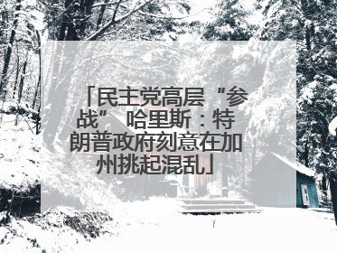 民主党高层“参战” 哈里斯：特朗普政府刻意在加州挑起混乱