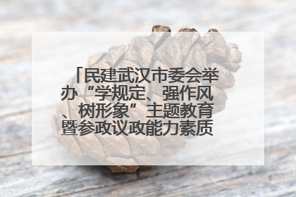 民建武汉市委会举办“学规定、强作风、树形象”主题教育暨参政议政能力素质提升培训班