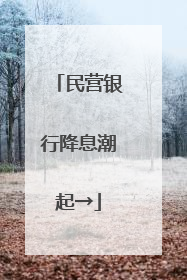 民营银行降息潮起→
