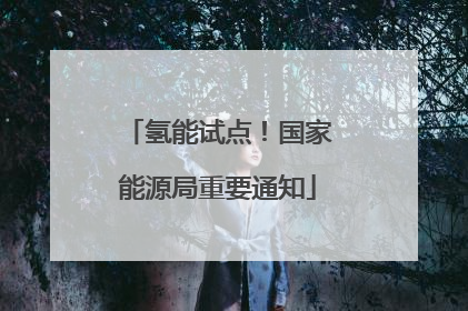 氢能试点！国家能源局重要通知
