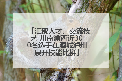 汇聚人才、交流技艺 川南渝西近300名选手在酒城泸州展开技能比拼