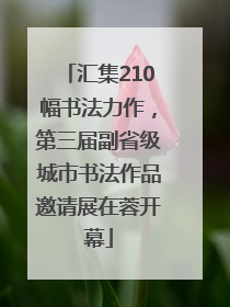 汇集210幅书法力作，第三届副省级城市书法作品邀请展在蓉开幕