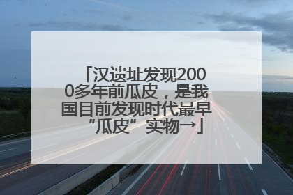 汉遗址发现2000多年前瓜皮，是我国目前发现时代最早“瓜皮”实物→