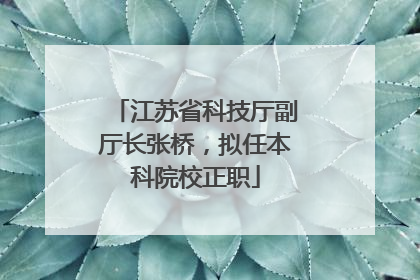江苏省科技厅副厅长张桥，拟任本科院校正职