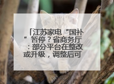 江苏家电“国补”暂停？省商务厅：部分平台在整改或升级，调整后可正常使用