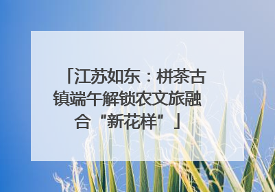 江苏如东：栟茶古镇端午解锁农文旅融合“新花样”