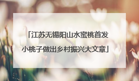 江苏无锡阳山水蜜桃首发 小桃子做出乡村振兴大文章