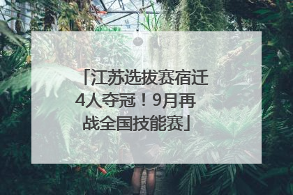 江苏选拔赛宿迁4人夺冠！9月再战全国技能赛
