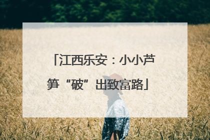 江西乐安：小小芦笋“破”出致富路
