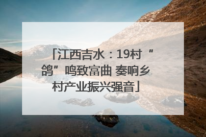 江西吉水：19村“鸽”鸣致富曲 奏响乡村产业振兴强音