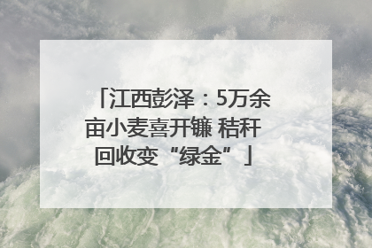 江西彭泽：5万余亩小麦喜开镰 秸秆回收变“绿金”