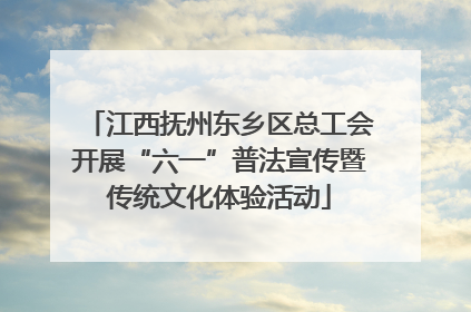 江西抚州东乡区总工会开展“六一”普法宣传暨传统文化体验活动