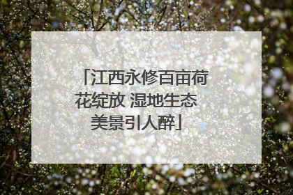 江西永修百亩荷花绽放 湿地生态美景引人醉