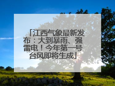 江西气象最新发布：大到暴雨、强雷电！今年第一号台风即将生成