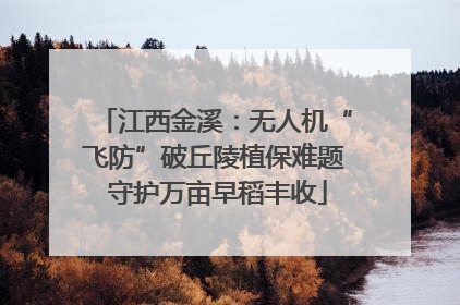 江西金溪：无人机“飞防”破丘陵植保难题 守护万亩早稻丰收