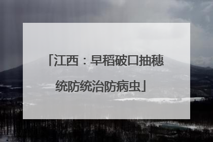 江西：早稻破口抽穗 统防统治防病虫