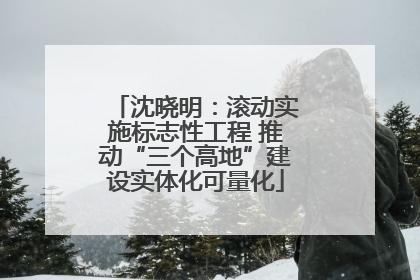 沈晓明：滚动实施标志性工程 推动“三个高地”建设实体化可量化