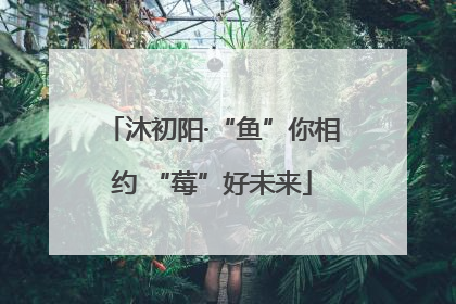 沐初阳·“鱼”你相约 “莓”好未来