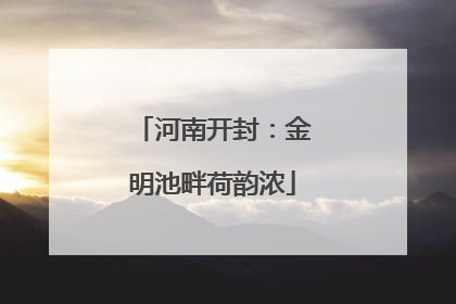 河南开封：金明池畔荷韵浓