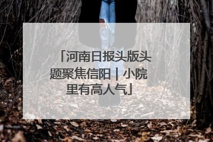 河南日报头版头题聚焦信阳｜小院里有高人气