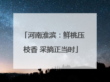 河南淮滨：鲜桃压枝香 采摘正当时
